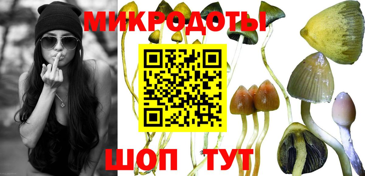 Псилоцибиновые грибы MAGIC MUSHROOMS Туапсе